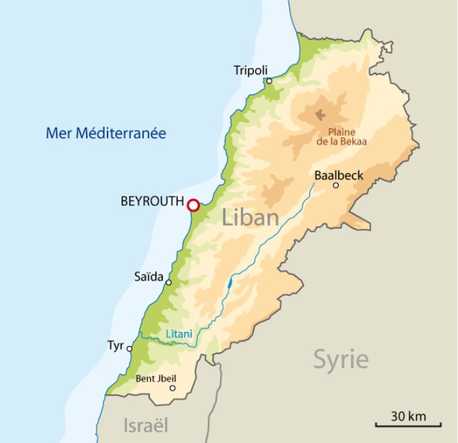 Communiqué de presse : Urgence Liban : au Sud Liban, un risque d&rsquo;exode massif