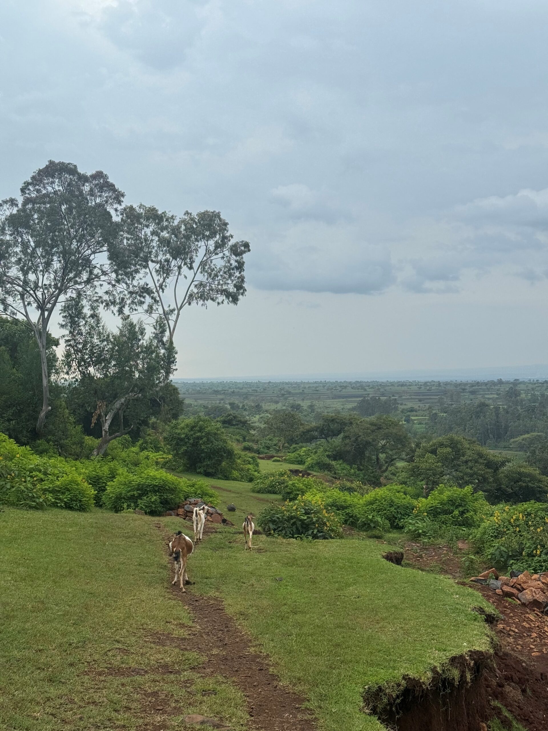[Ethiopie] : Le témoignage de Charles :  » Il s’agit aussi de partager une présence, une attention, une fraternité « 